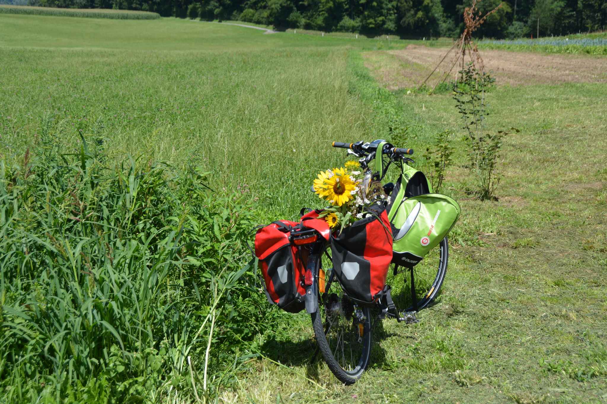 Fahrrad mit Sonnenblumen