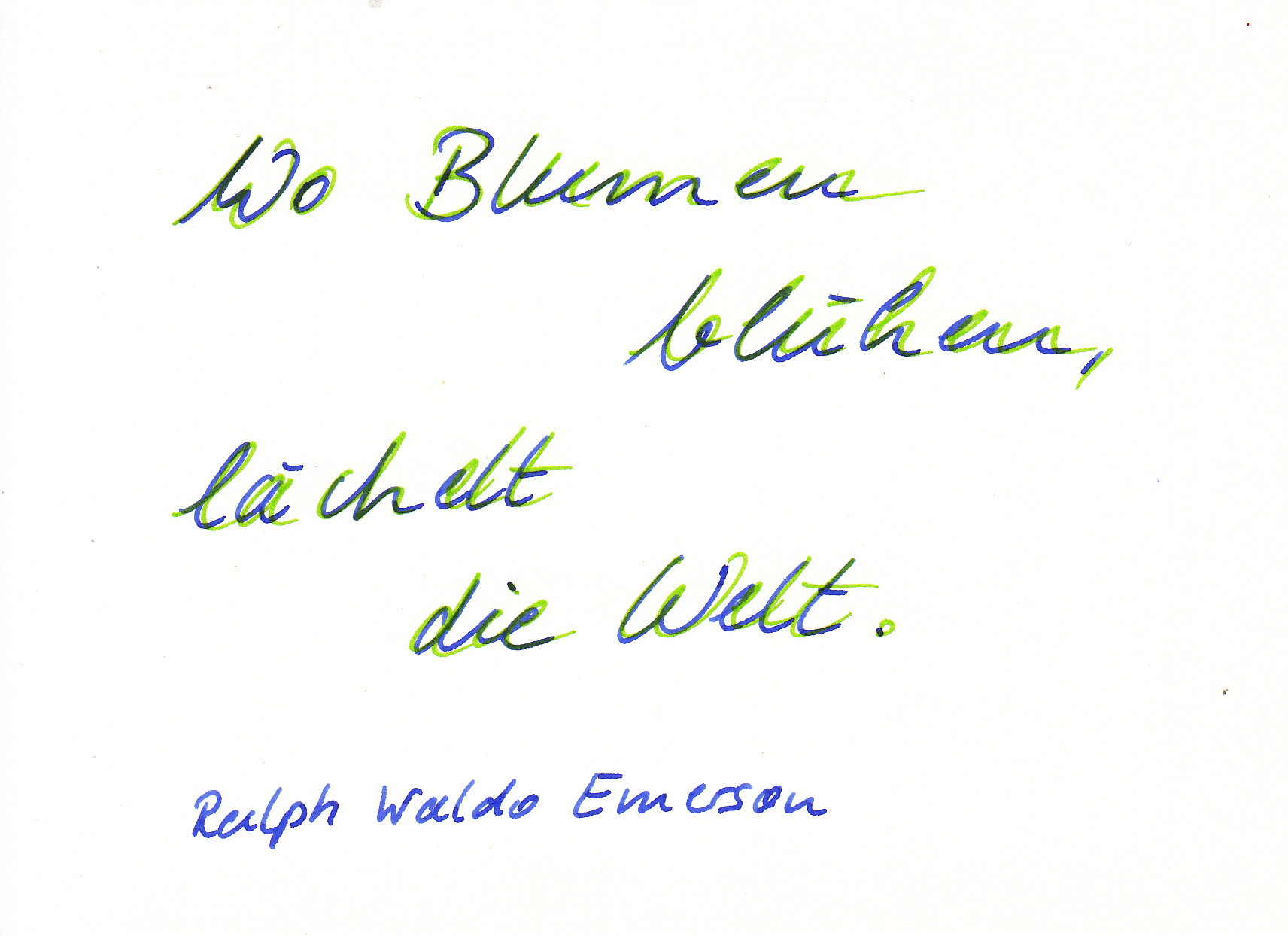 Wo Blumen blühen_Text